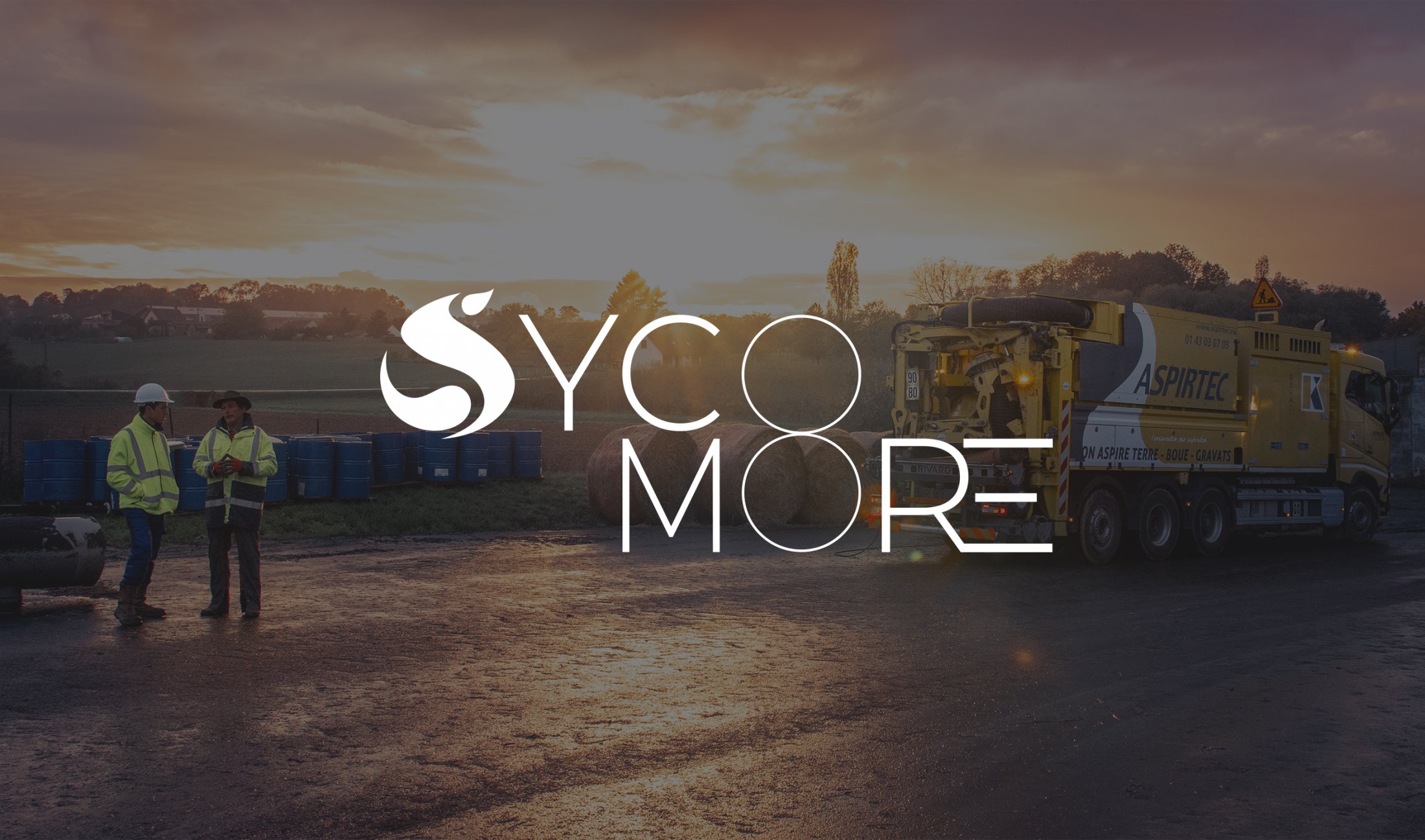 Sycomore